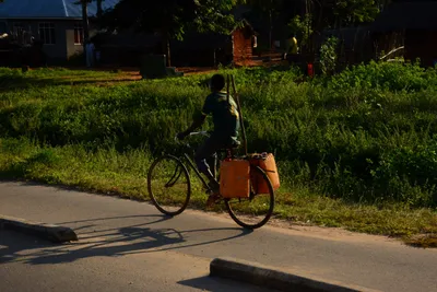 DSC_8390 (Large).JPG